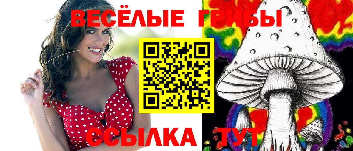 Галлюциногенные грибы Psilocybe  наркота  Коломна  Вход с VPN 