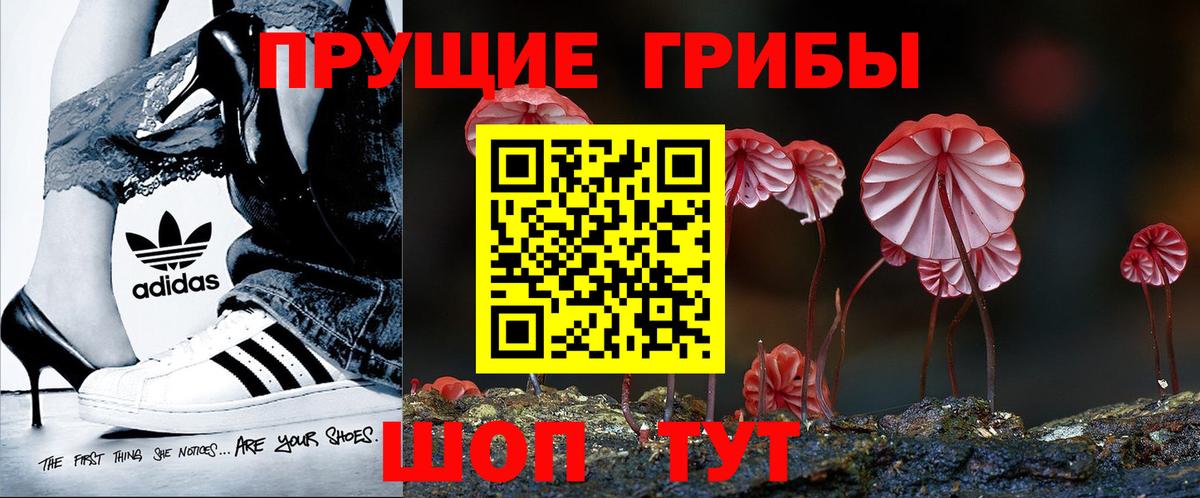 Псилоцибиновые грибы Psilocybe Коломна